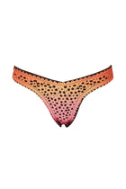 Thumbnail - AWAA-Tabita-Bikini-Bottom-23970-3-similar.jpg - 3