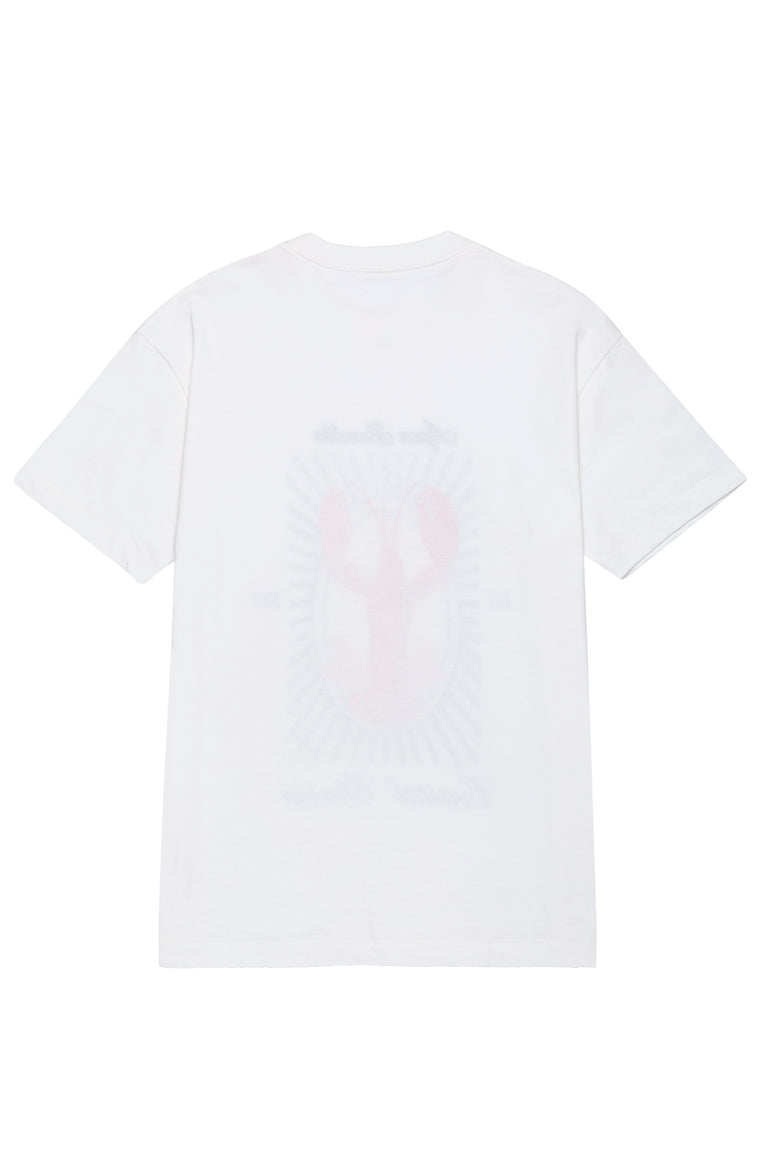 Alina-Jhoselyn-T-Shirt-21734-5.jpg - 4