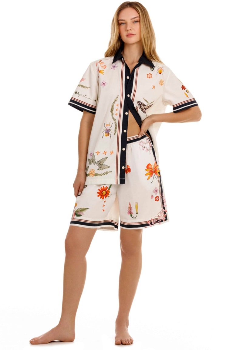 Ambar-Malaga-Shorts-19319-4.jpg - 4