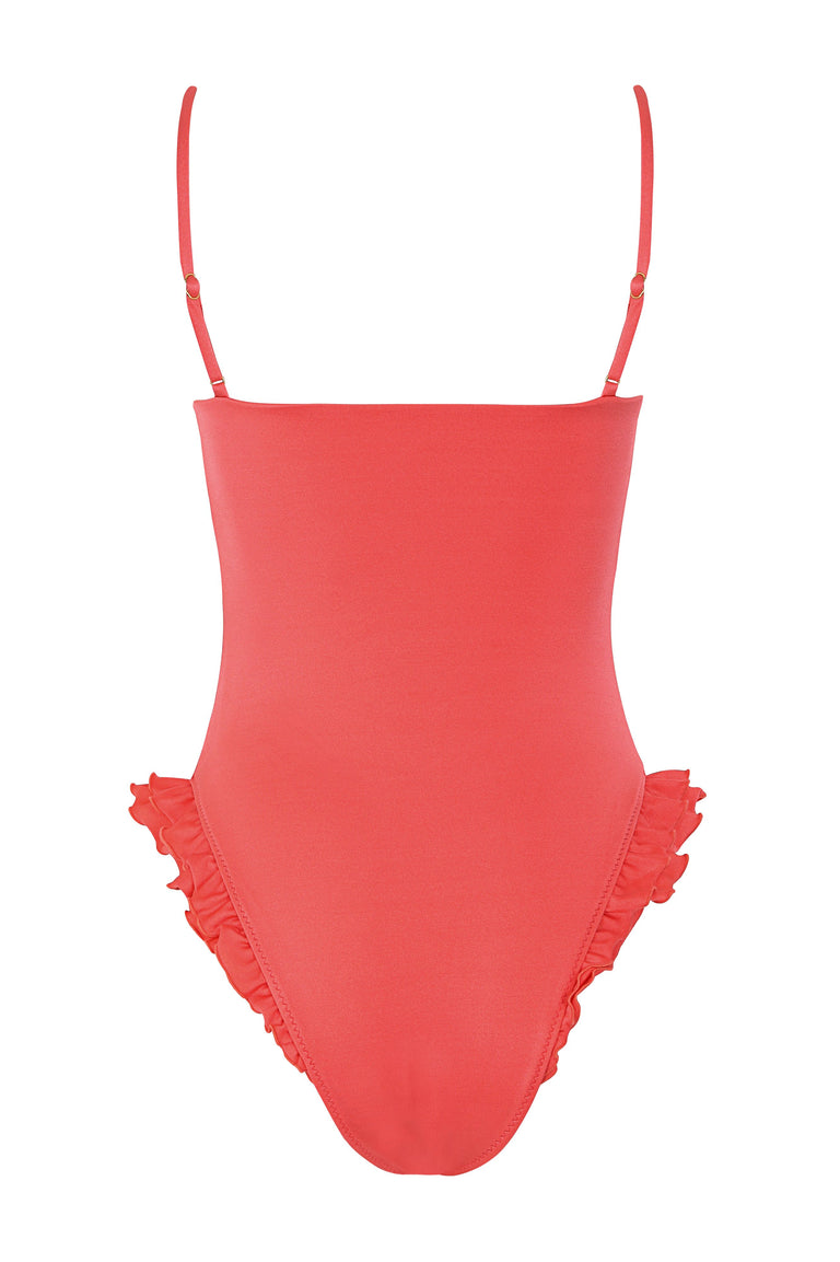 Bleu-Rose-One-Piece-Swimsuit-21686-5.jpg - 4