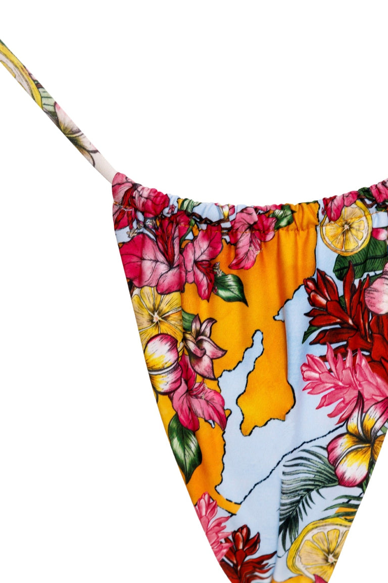 Ventura-alexis-bikini-bottom-15419-7 - 7