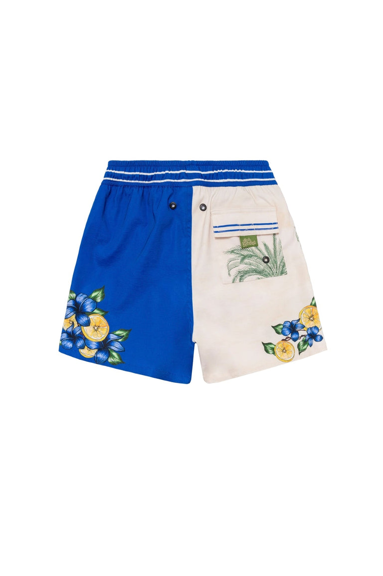 Ventura-nick-kids-trunks-15437-4 - 4